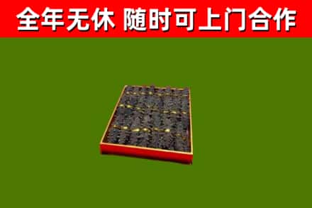 扬中市回收海参